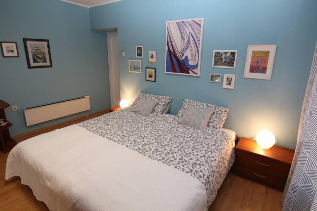 Fast Friend - Cozy Apartment In The Center With Private Garage Rijeka Eksteriør bilde